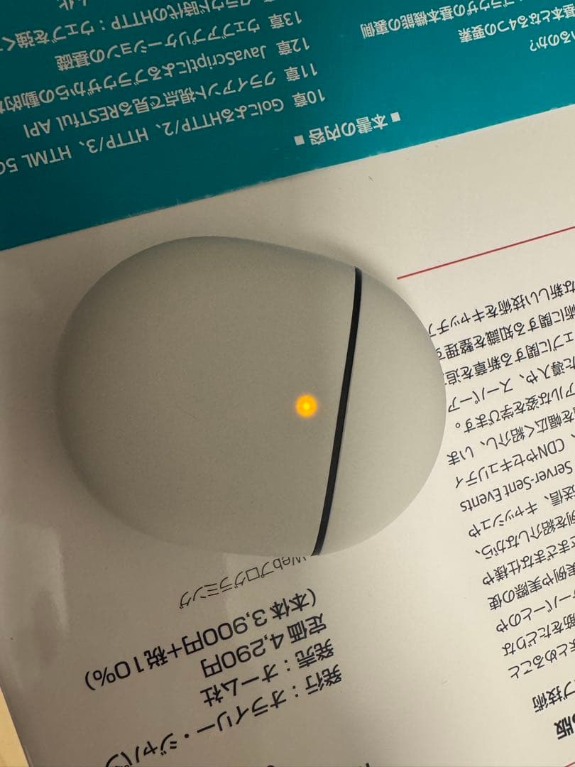 スマートフォン本体 Pixel 10 Pro fold + Pixel buds