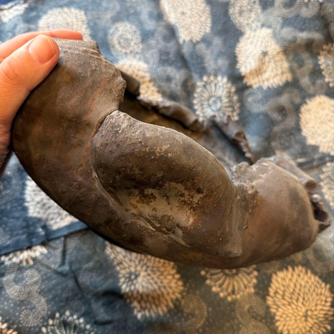 細川政己　植木鉢　異形