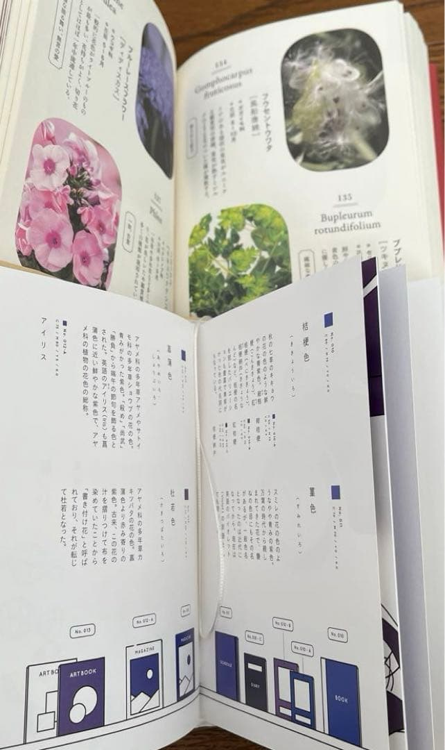 雷鳥社 辞典　海　空　星　草　花　色　石　菜　紋　菓子