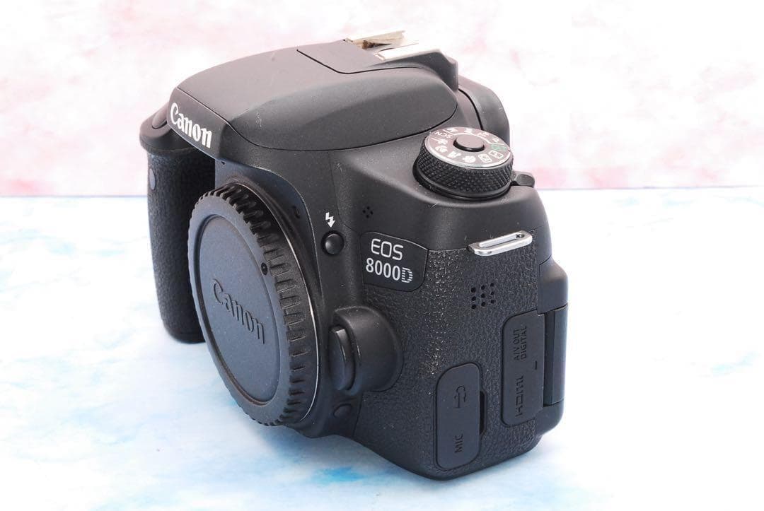 ☆Wi-Fi搭載☆Canon EOS 8000D☆Wレンズ☆一眼レフカメラ