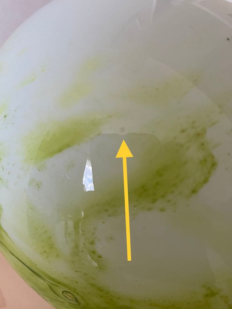 リーヒマエンラシ／タマラ・アラジン／Koralli／花瓶