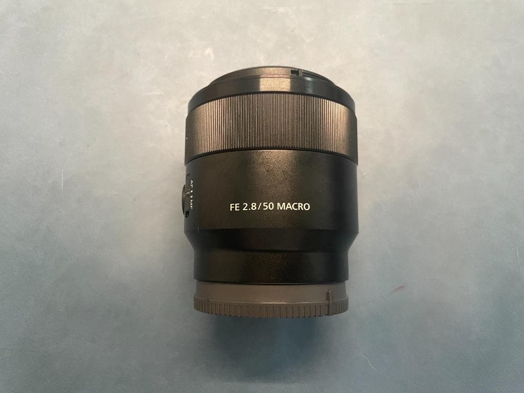 SONY FE 50mm F2.8 Macro SEL50M28 マクロレンズ