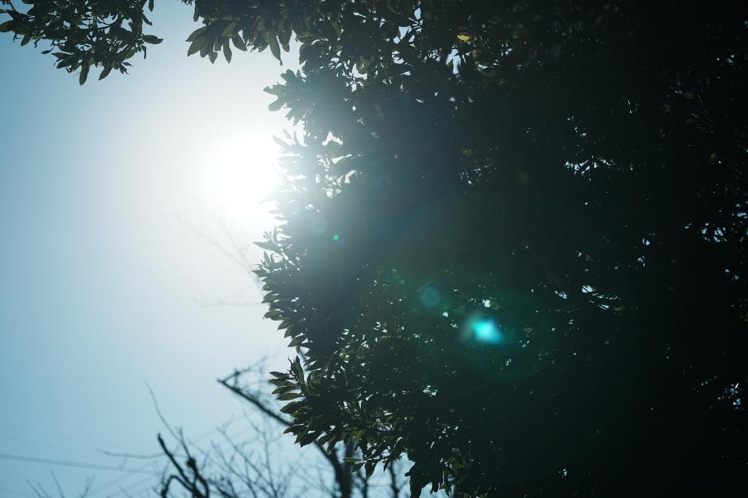 【軽い】美品 SONY SEL70200G ソニー望遠Gレンズ 三脚座完備