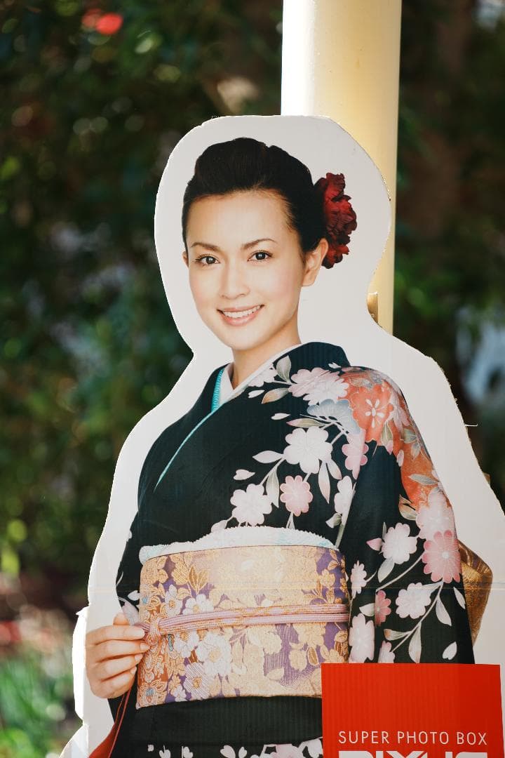 【軽い】美品 SONY SEL70200G ソニー望遠Gレンズ 三脚座完備