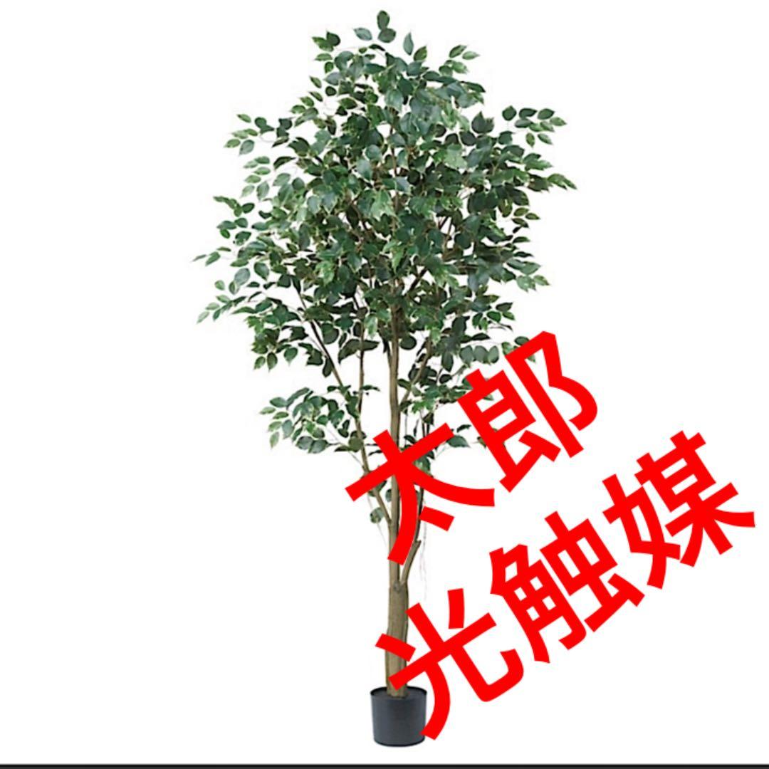 光触媒　人工観葉植物　ウォールグリーン　フェイクグリーン　ベンジャミンフィカスv