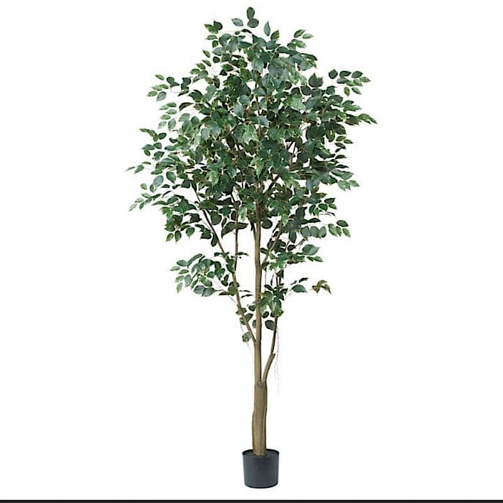 光触媒　人工観葉植物　ウォールグリーン　フェイクグリーン　ベンジャミンフィカスv