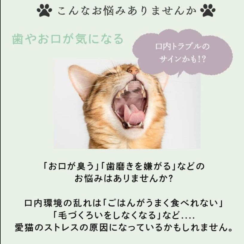 ミシュワン トータルケアニャン 猫用トータルケアジェル 3本セット 新品未開封