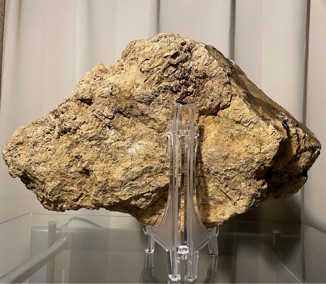 4770 佐渡岩谷口五色メノウ 水石 盆栽 横43.5(cm) 8kg 赤玉石