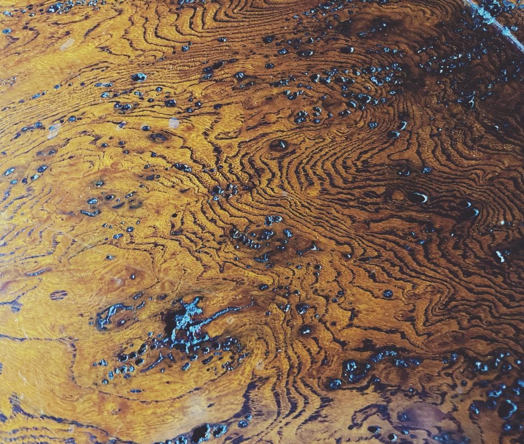 【値下げ】【希少】 小椋榮一 天然古木 丸盆 【真作保証】