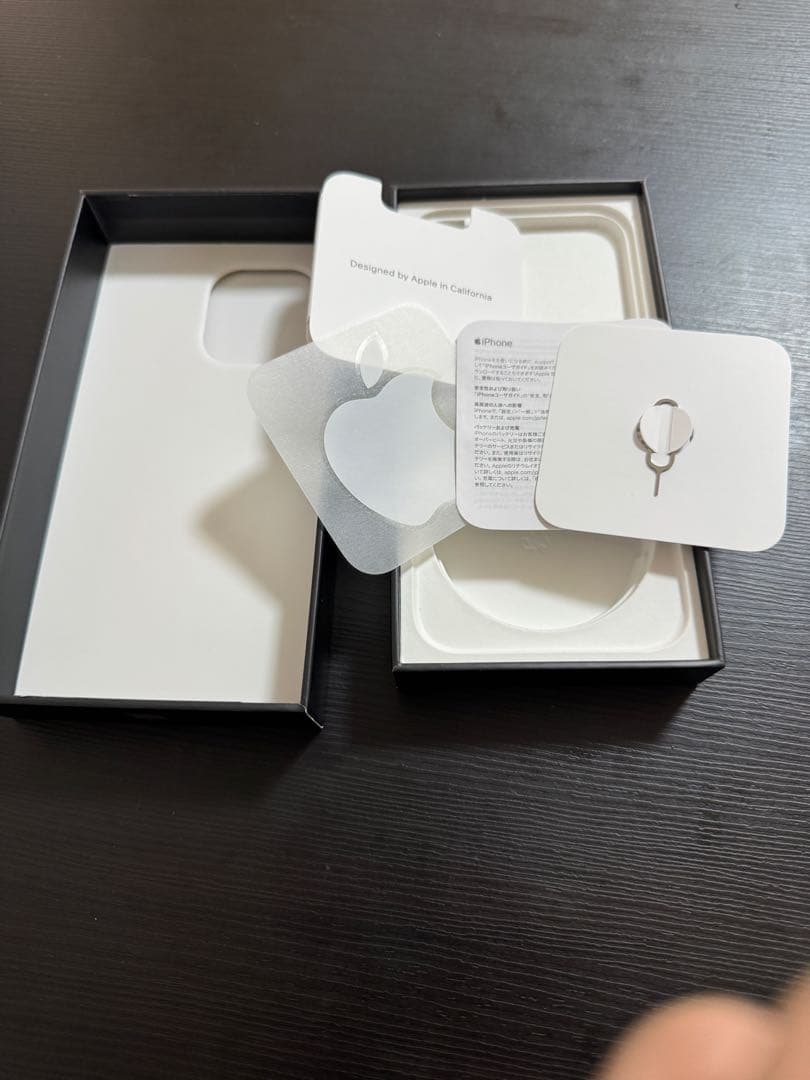 Apple iPhone 13 Pro 256GBバッテリー残量100%シルバー