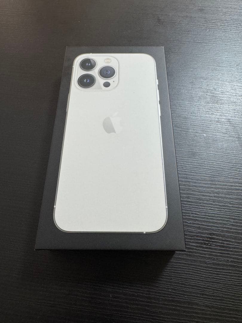 Apple iPhone 13 Pro 256GBバッテリー残量100%シルバー