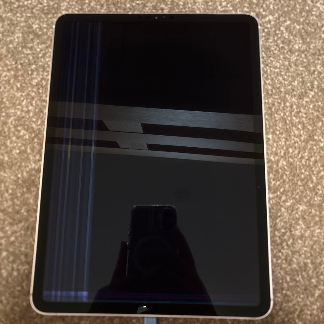 【ジャンク】iPad Pro 11 第1世代 64GB セルラー