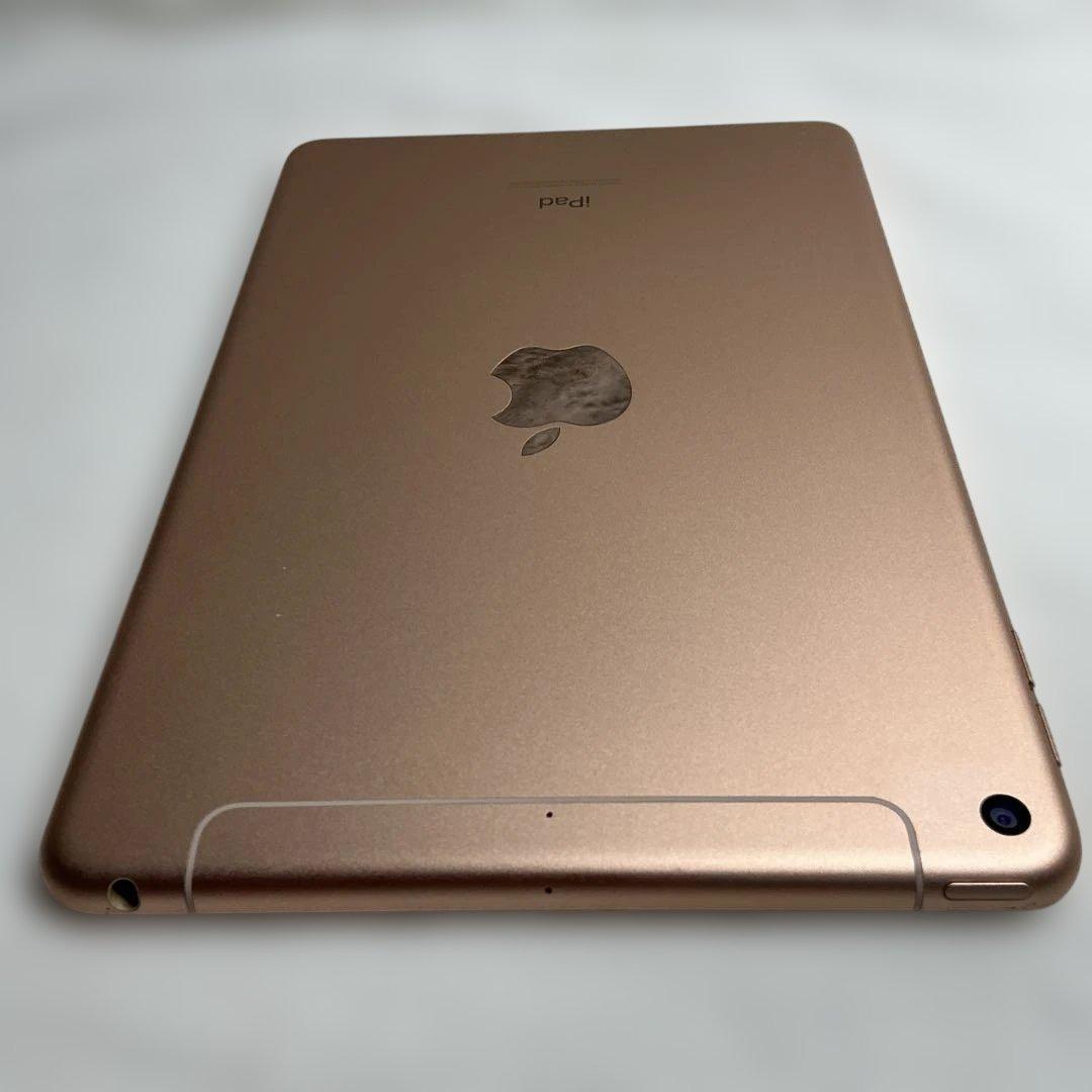 maybさん専用　超美品iPad Mini 第5世代本体+ケイブル＋充電器＋箱付