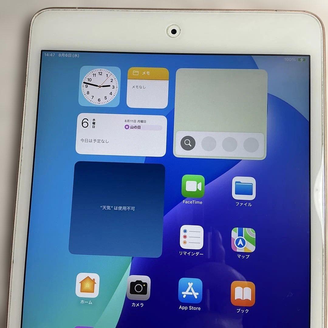 maybさん専用　超美品iPad Mini 第5世代本体+ケイブル＋充電器＋箱付