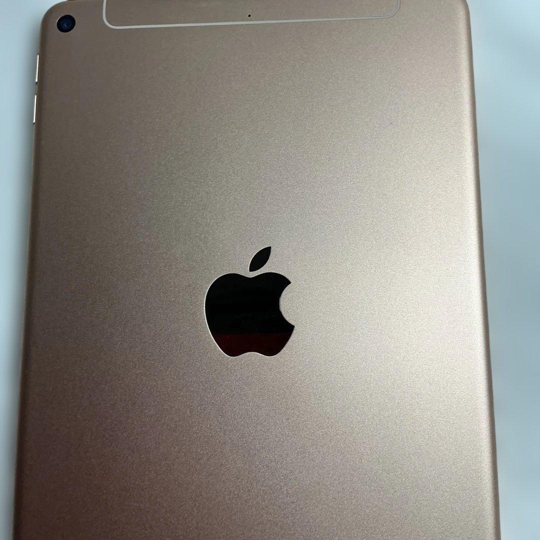 maybさん専用　超美品iPad Mini 第5世代本体+ケイブル＋充電器＋箱付