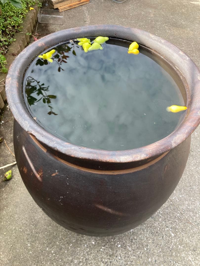 【古民具】大型 渋い黒釉 、ダークブラウン陶器の甕。 アンティークメダカ鉢。