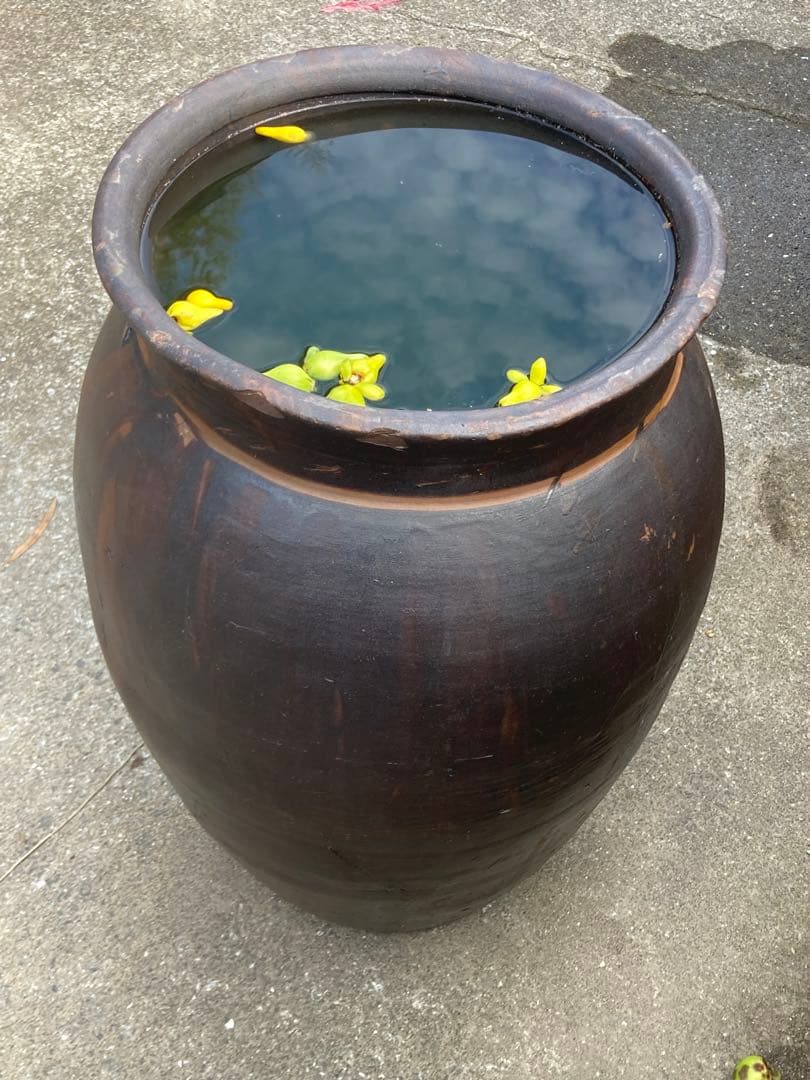 【古民具】大型 渋い黒釉 、ダークブラウン陶器の甕。 アンティークメダカ鉢。
