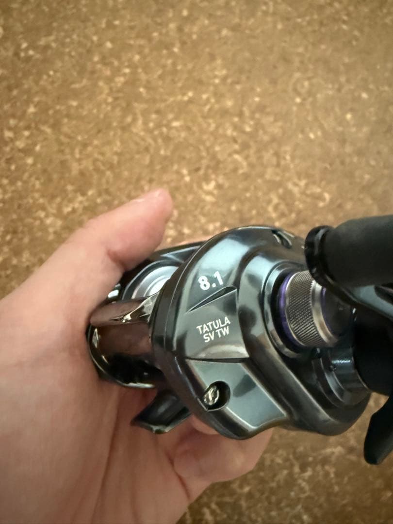 ダイワ　TATULA SV TW ベイトリール