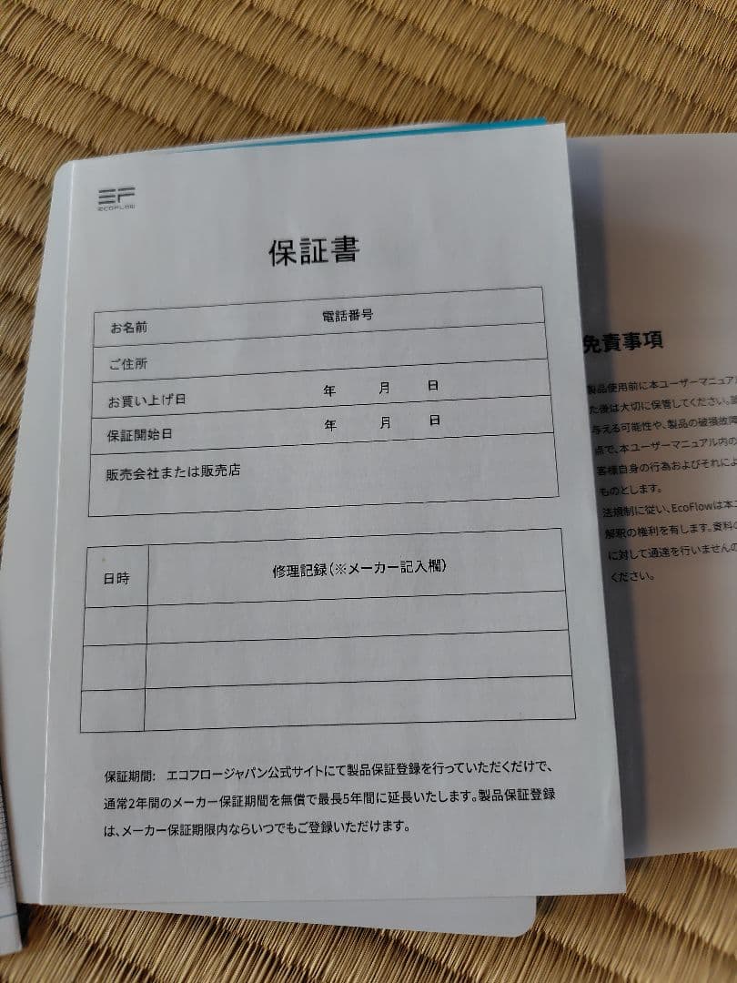 エコフロー　デルタ2 Delta2とソーラーパネルセット