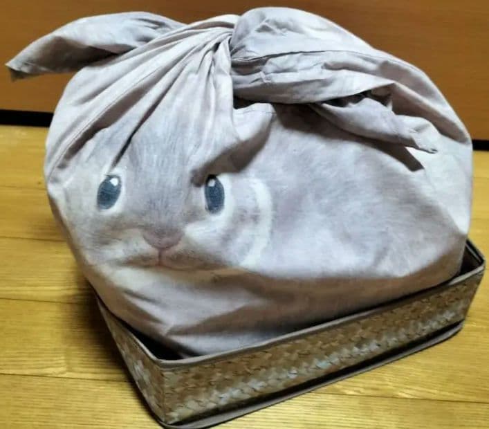 フェリシモ★うさぎを飼っている気分の収納ケース★チンチラウサギ