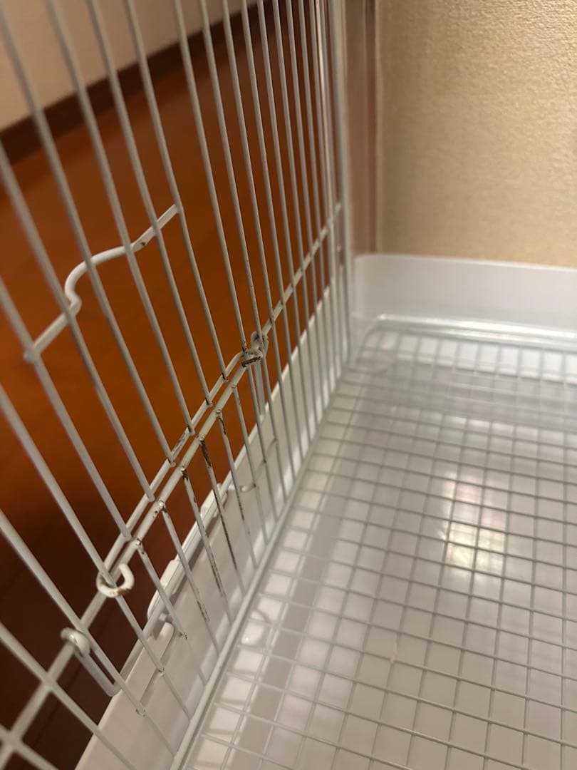 クリアバード40 2個