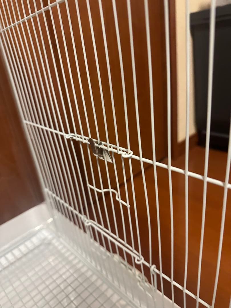 クリアバード40 2個