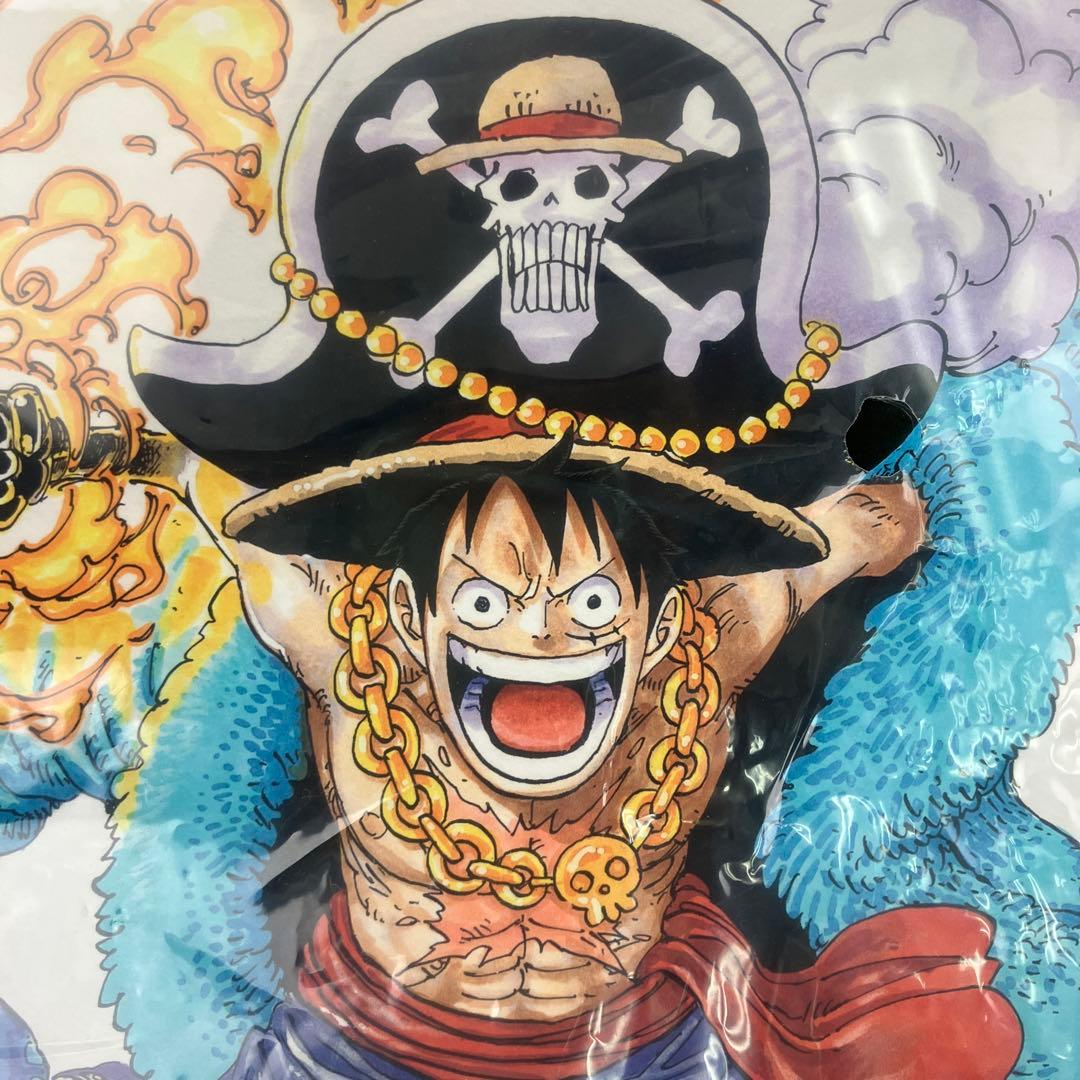 【包装袋未開封品・小キズあり】ワンピース 高級複製原画 20周年記念 迅速配送