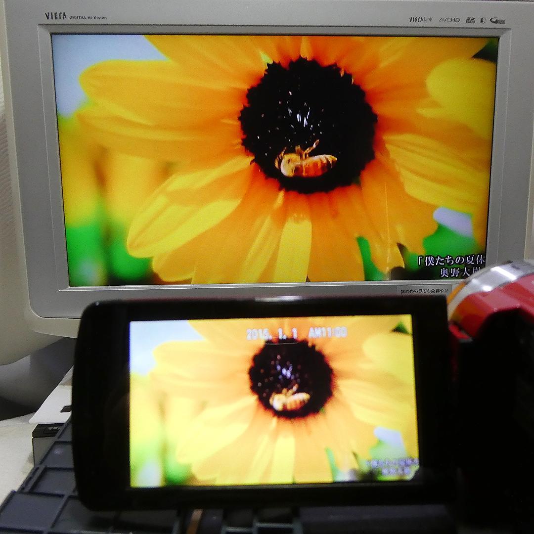 動作良好 JVC Everio GZ-E750-R HDD/SD ビデオカメラ