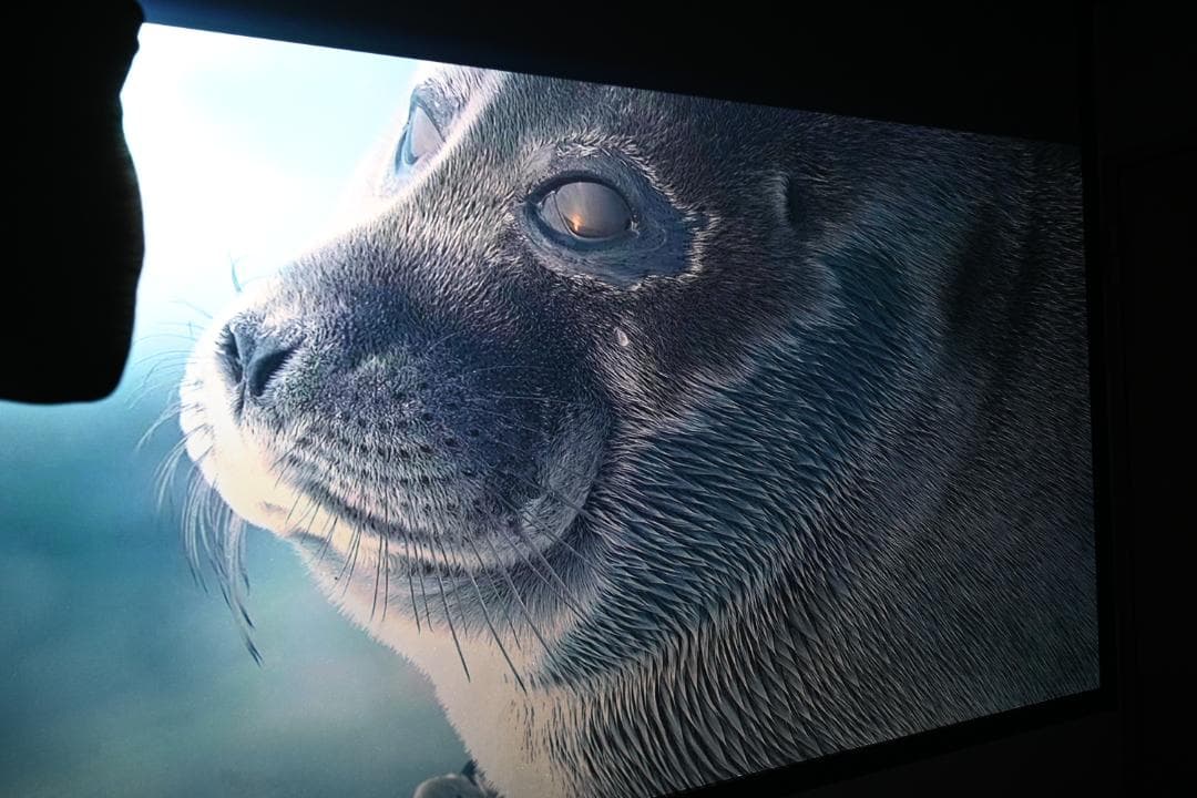 プロジェクター SONY VPL-HW35ES