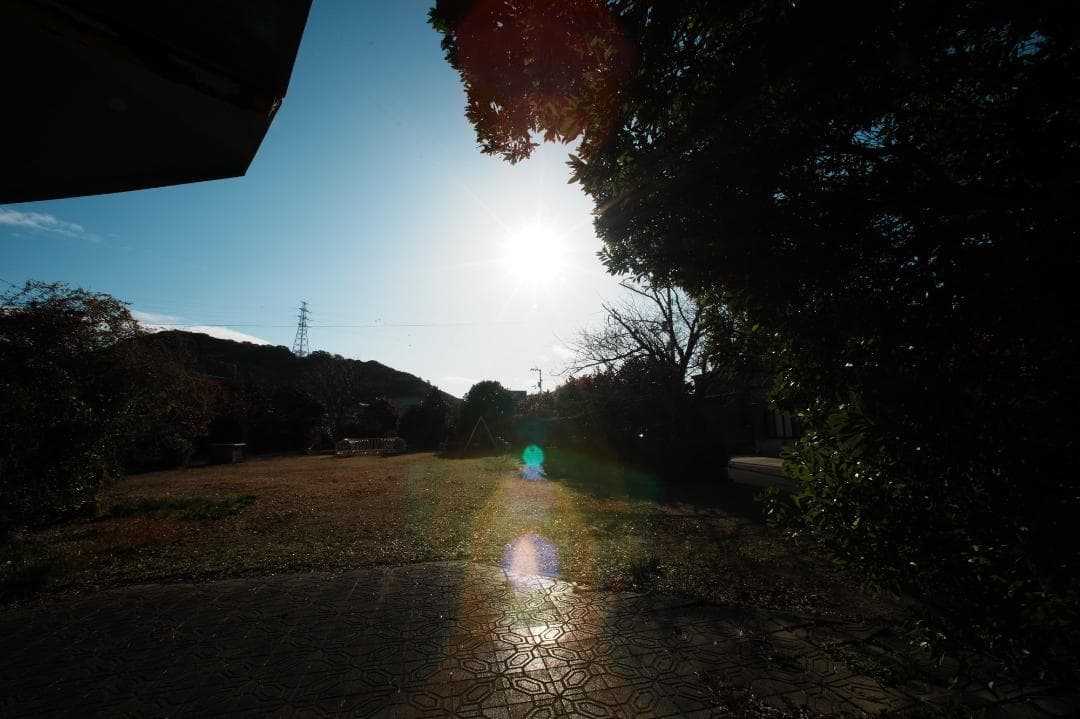 【プロテスト済】Nikon AF Nikkor 14mm F2.8D 033