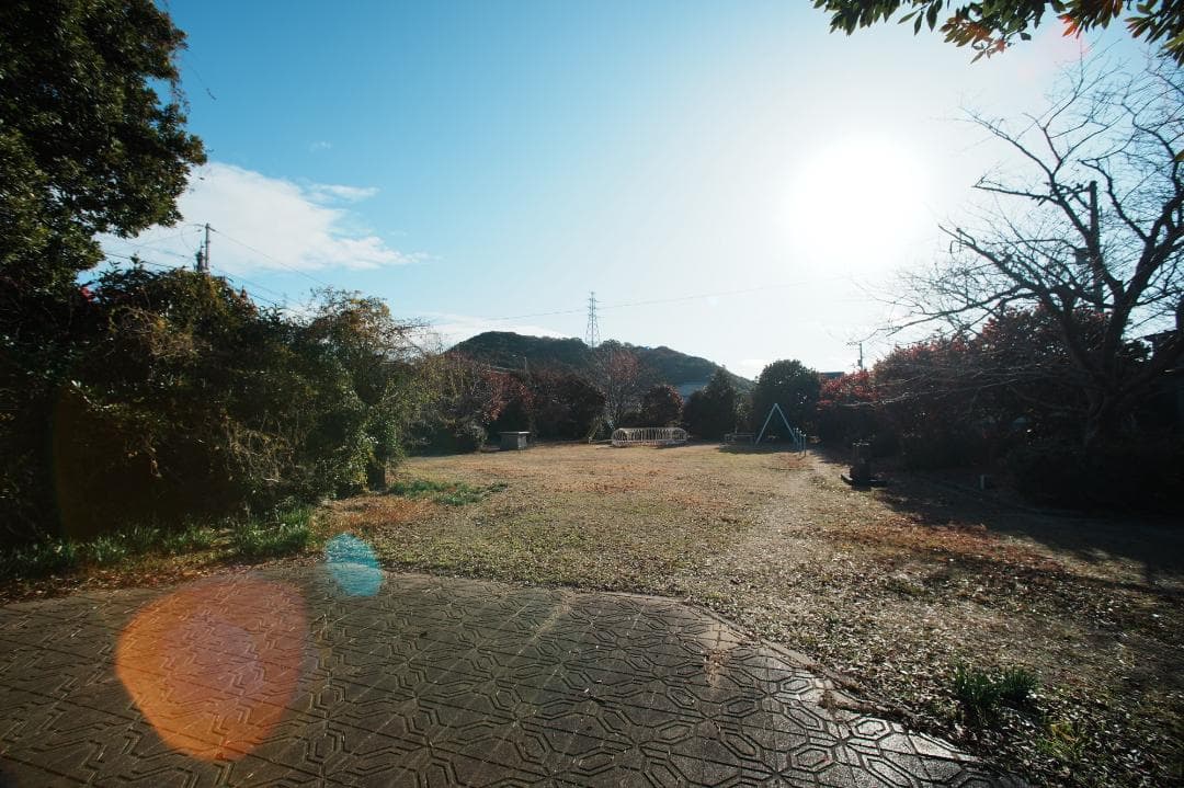 【プロテスト済】Nikon AF Nikkor 14mm F2.8D 033