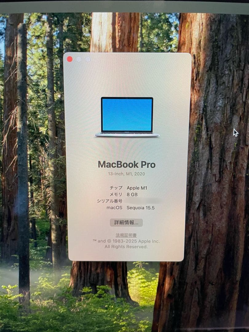 Apple MacBook Pro 13-inch (2020) 本体 箱なし