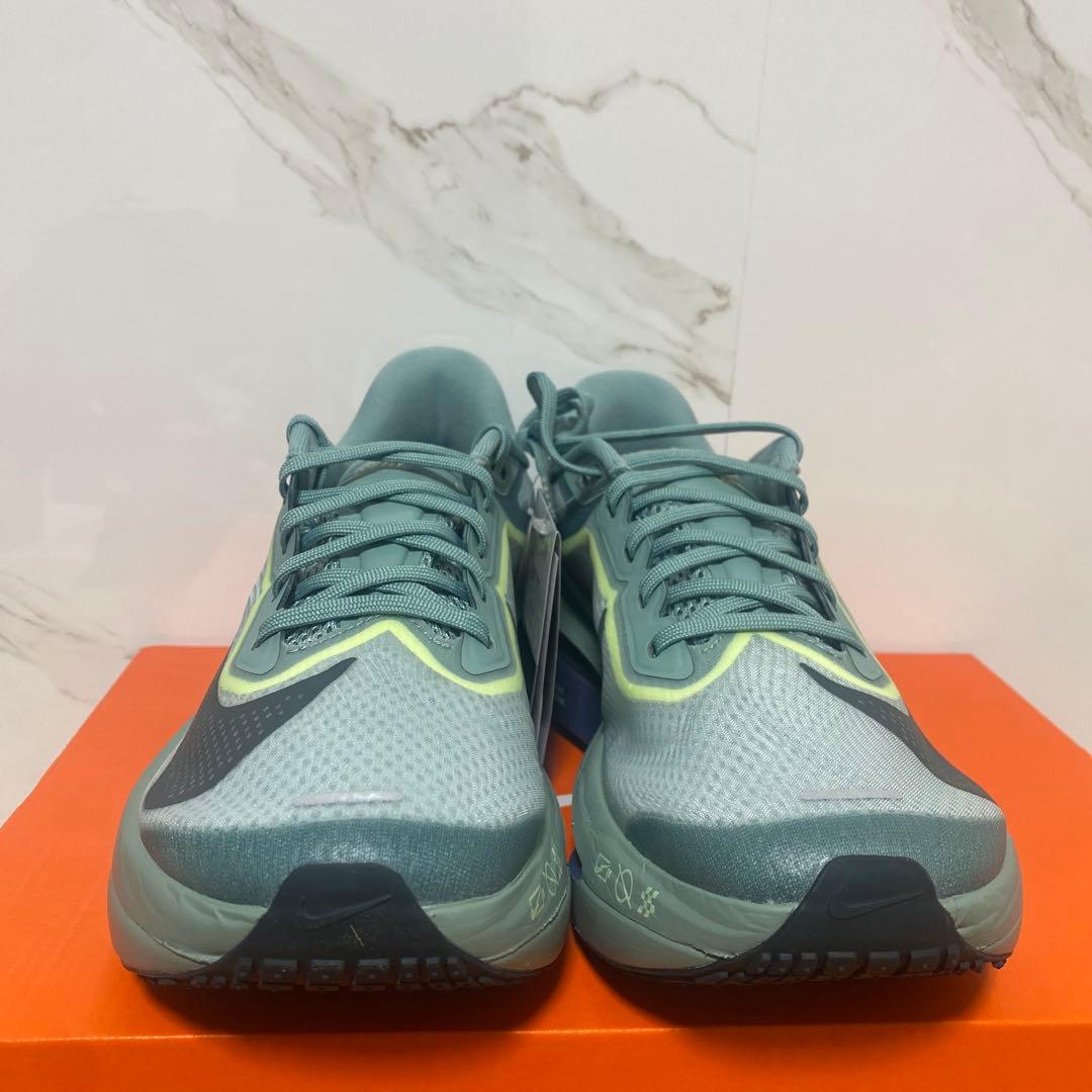 新品　未使用　タグ付　NIKE ZOOM FLY6　26cm