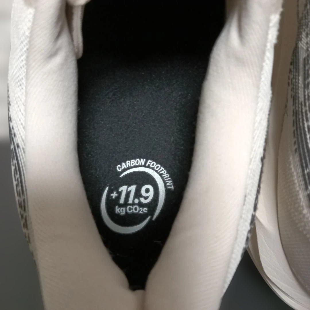 ASICS ランニングシューズ　ノヴァブラスト　29cm