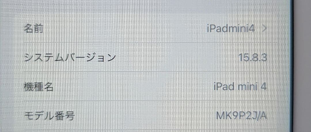 iPad本体 Apple iPad mini 4 (MK9P2J/A)