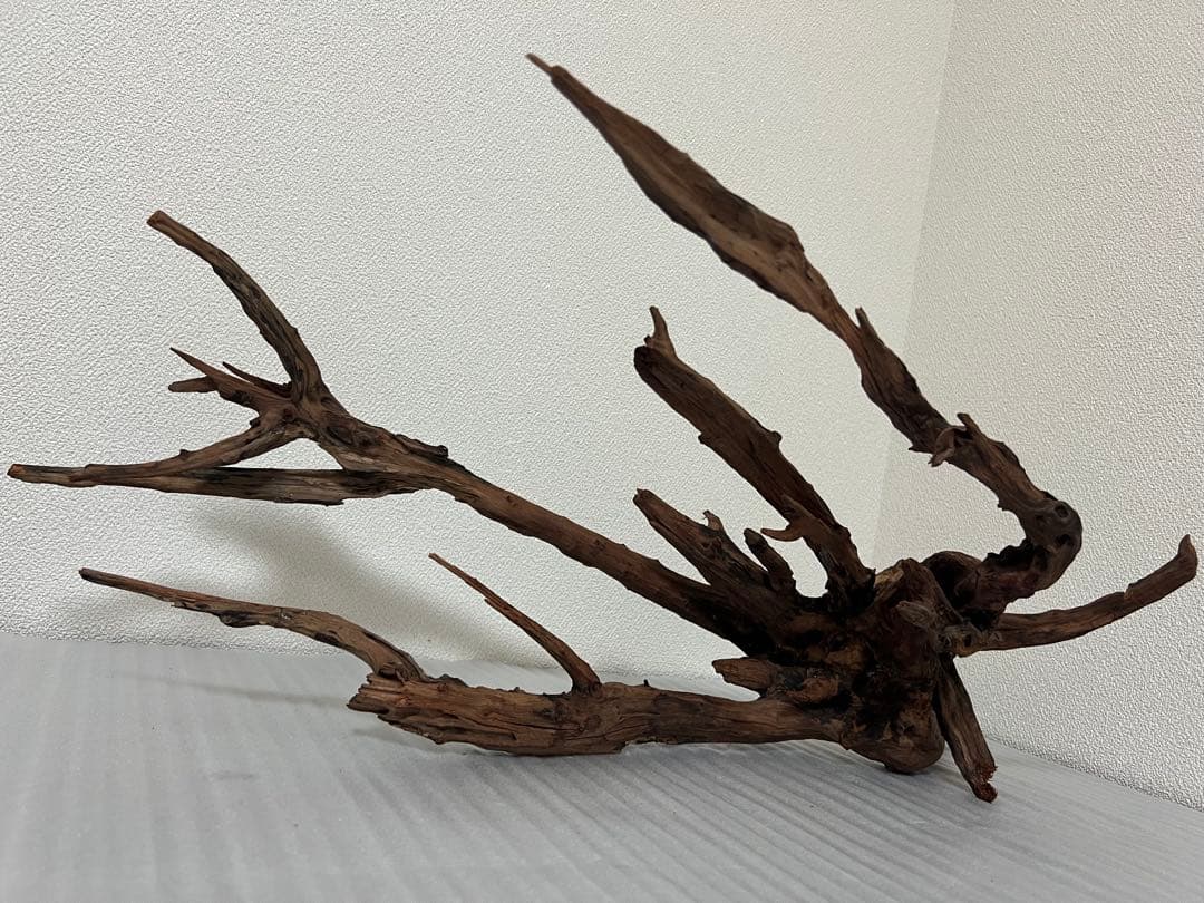 HX-083 流木　ホーンウッド　マシンガンウッド　アクアリウム　ブランチウッド