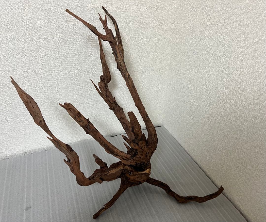 HX-083 流木　ホーンウッド　マシンガンウッド　アクアリウム　ブランチウッド