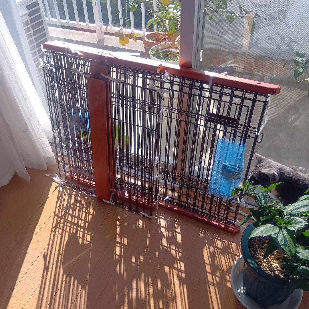 ボンビアルコン　ウッドワンサークルキャット2段