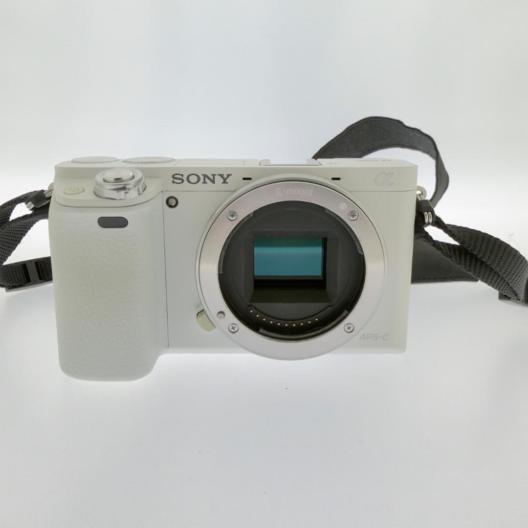 [美品] 極少ショット SONYα6000 ILCE-6000Y ダブルズーム