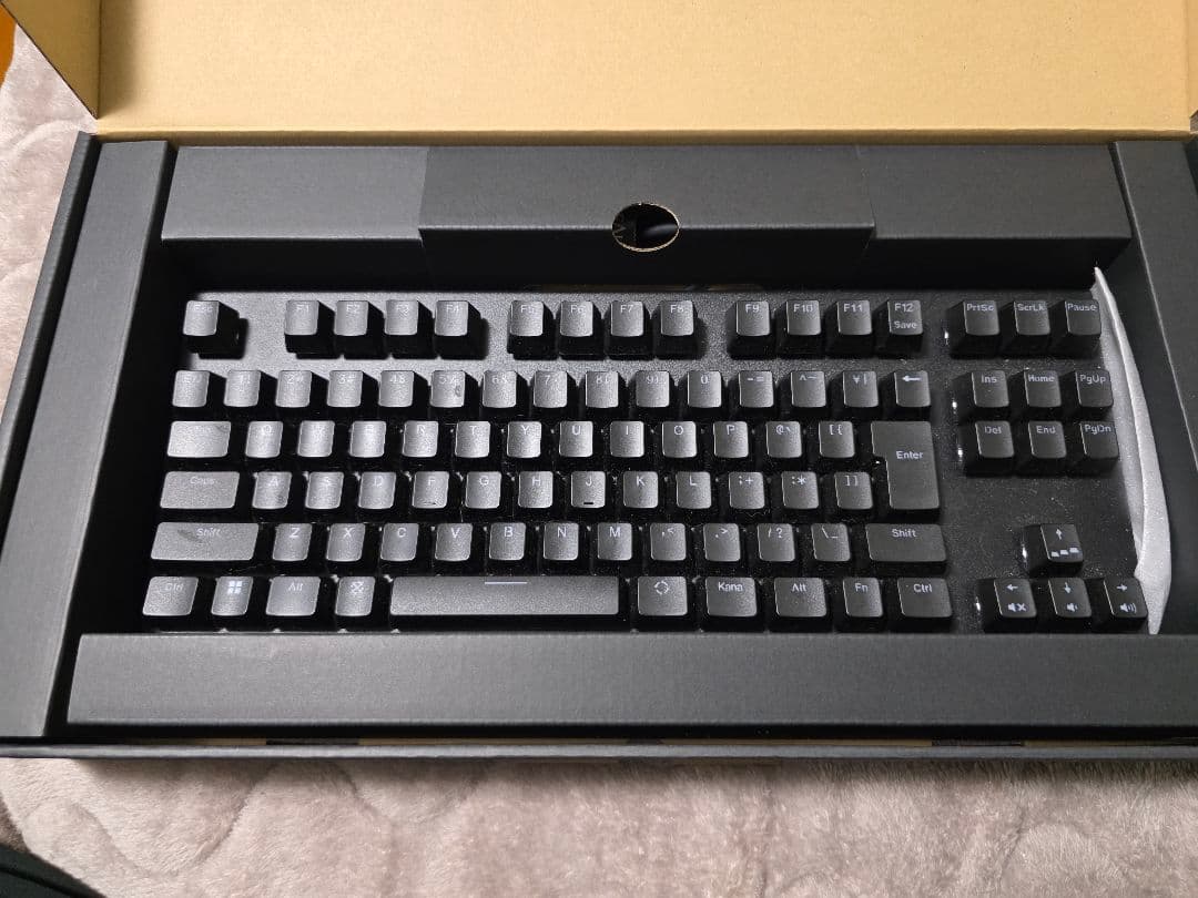REALFORCE リアルフォース キーボード GX1 45g X1UC11