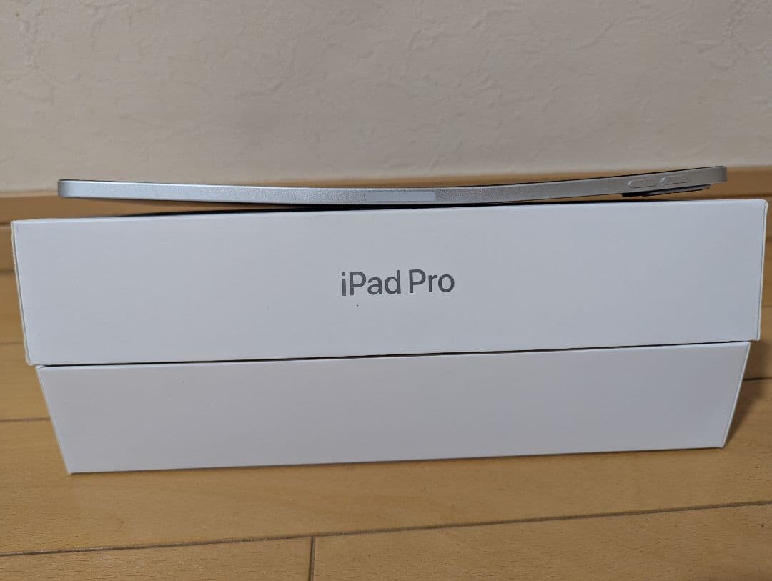 iPad Pro11インチ(第二世代)