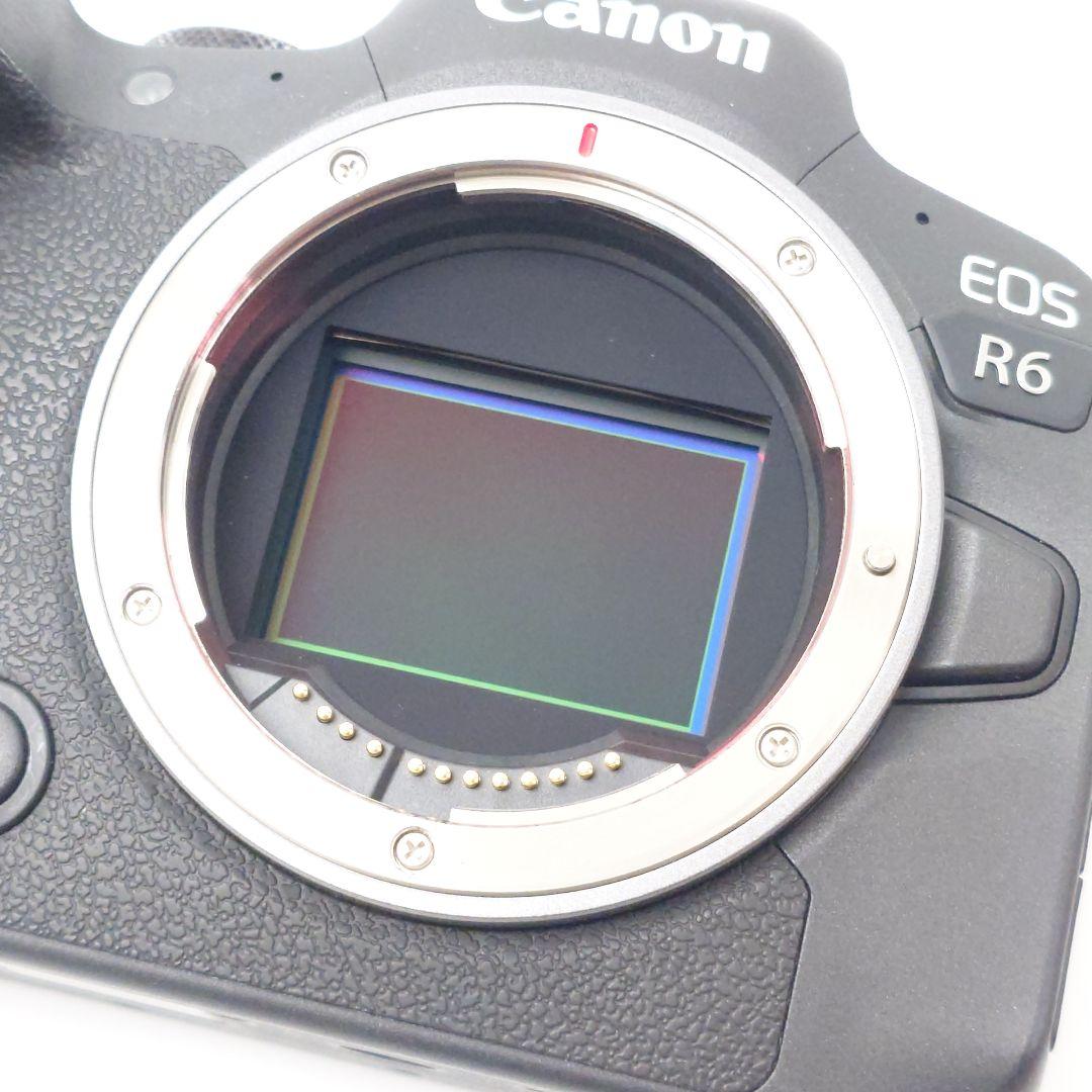【極美品】Canon EOS R6 ボディ　シャッター数10,004回！