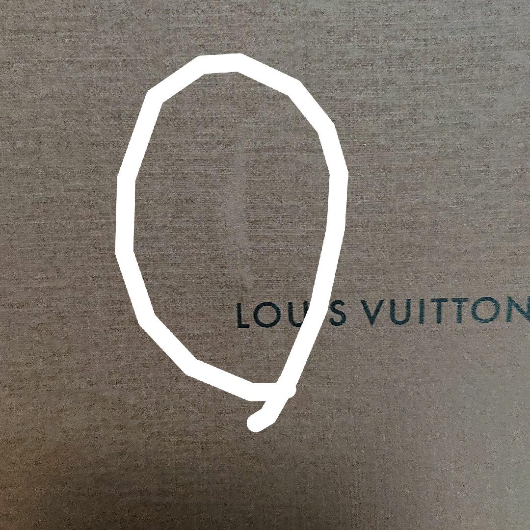 ルイヴィトン エピ  アジェンダ タイガ・ライン