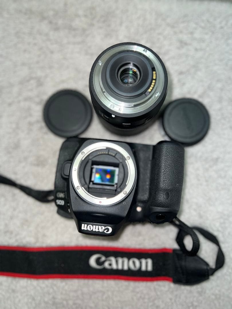 Canon EOS 90D + レンズ +バッグセット Canon 90D