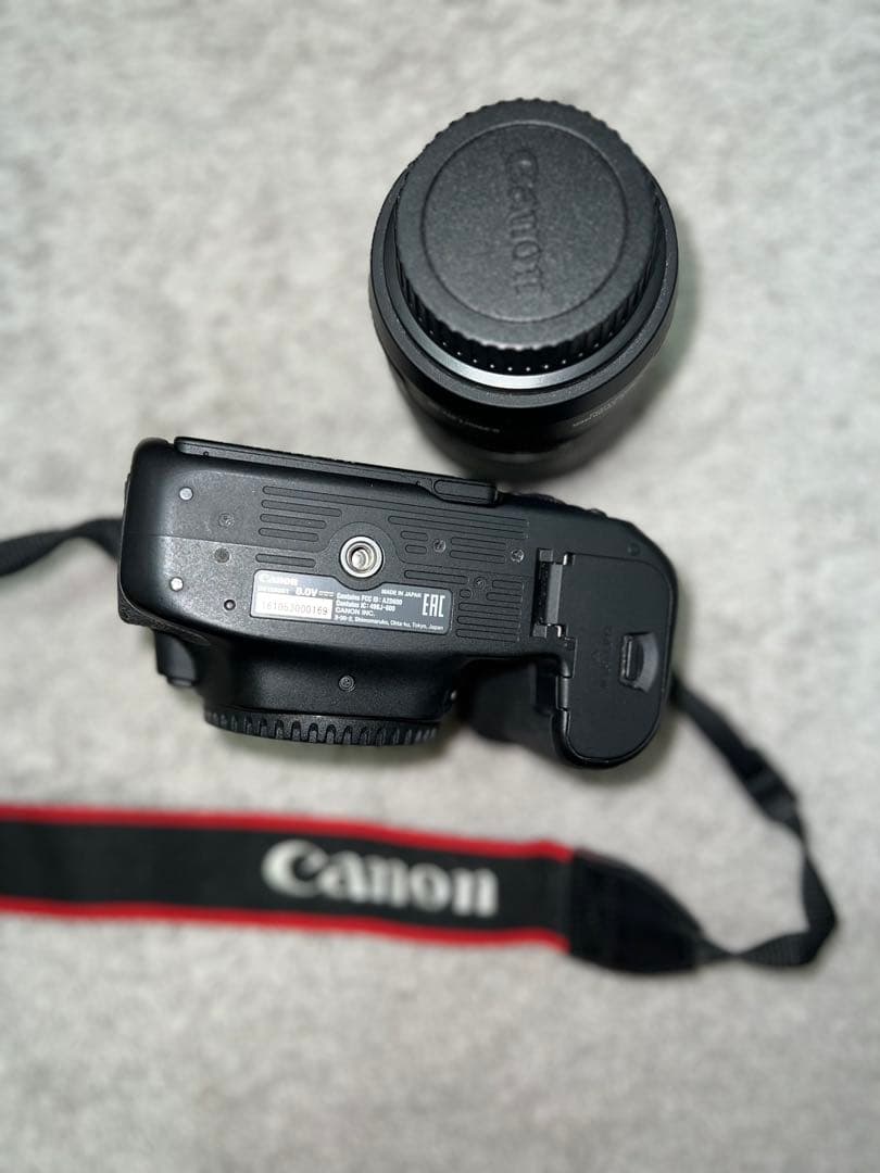 Canon EOS 90D + レンズ +バッグセット Canon 90D