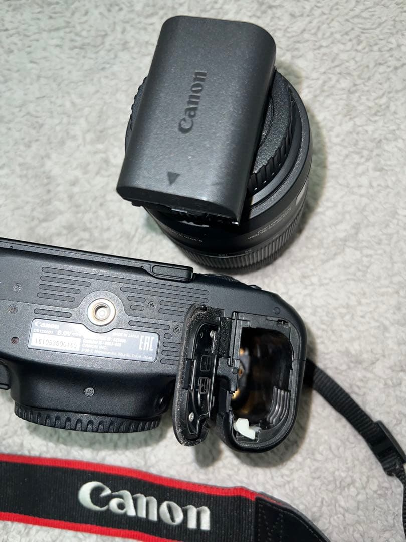 Canon EOS 90D + レンズ +バッグセット Canon 90D