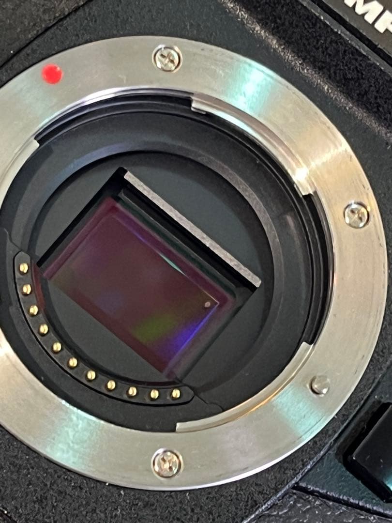 OLYMPUS OM-D E-M1 Mark II ボディ 美品 5578回