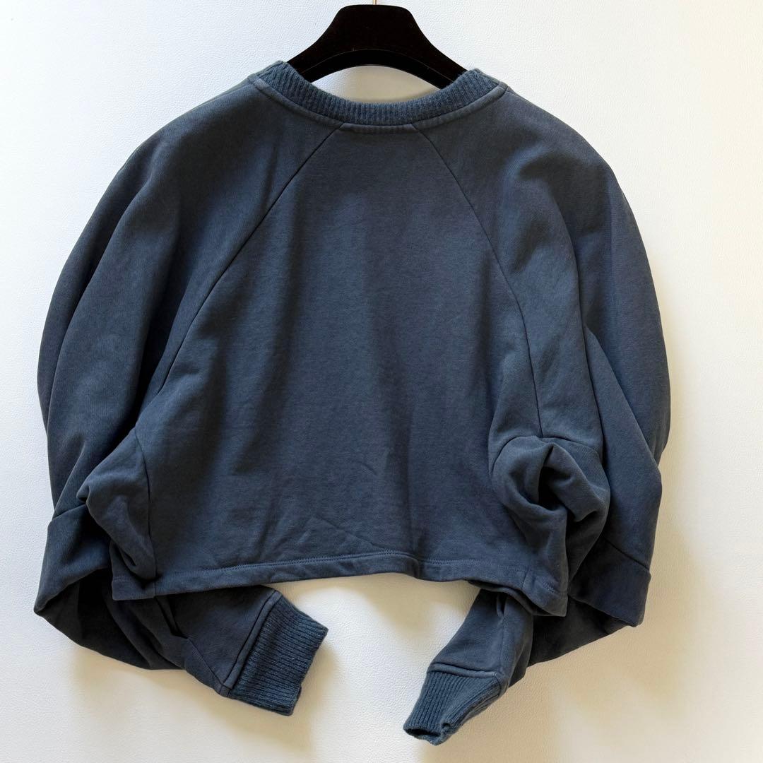 ✨近年モデル 完売品✨ ロエベ クロップド アナグラム 刺繍ロゴ スウェット