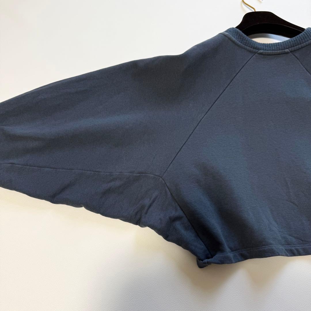 ✨近年モデル 完売品✨ ロエベ クロップド アナグラム 刺繍ロゴ スウェット