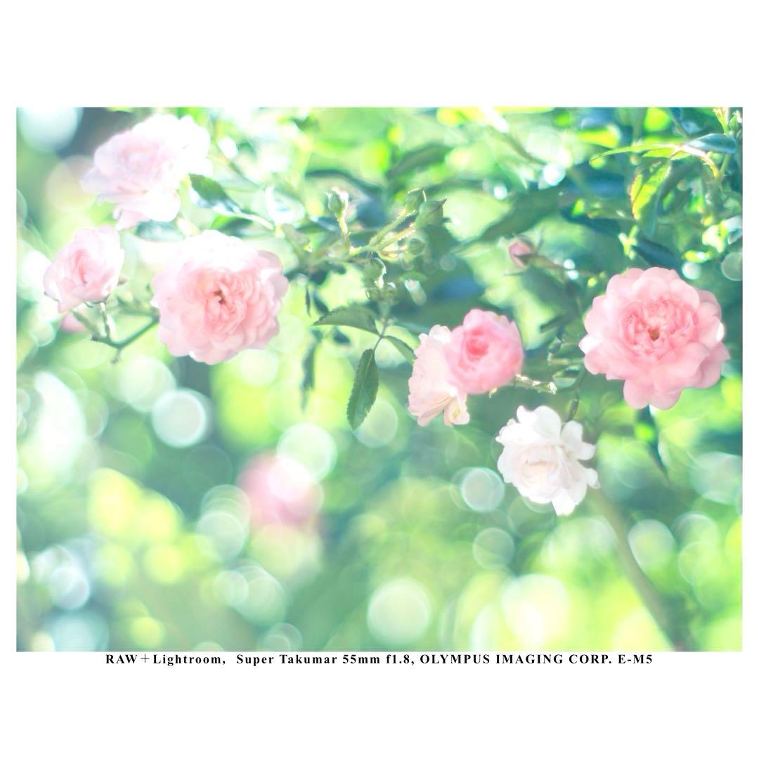 【整備済】Super Takumar 55㎜ f1.8 後期型 タクマー M42